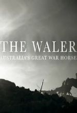 Watch The Waler: Australia\'s Great War Horse Tvmuse