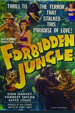 Watch Forbidden Jungle Tvmuse