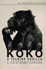Watch Koko, le gorille qui parle Tvmuse