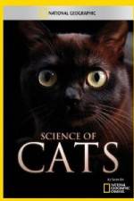 Watch National Geographic Science of Cats Tvmuse