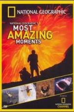 Watch National Geographics Most Amazing Moments Tvmuse