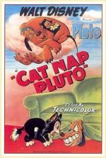 Watch Cat Nap Pluto Tvmuse
