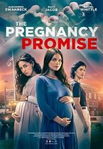 Watch The Pregnancy Promise Tvmuse