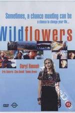 Watch Wildflowers Tvmuse