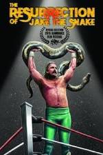 Watch The Resurrection of Jake The Snake Roberts Tvmuse