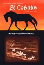Watch El Caballo: The Wild Horses of North America Tvmuse