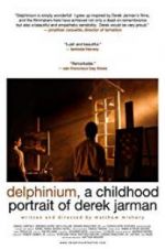 Watch Delphinium: A Childhood Portrait of Derek Jarman Tvmuse