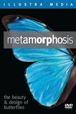 Watch Metamorphosis: The Beauty and Design of Butterflies Tvmuse