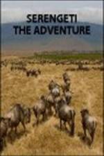 Watch Serengeti: The Adventure Tvmuse