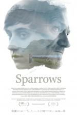 Watch Sparrows Tvmuse