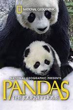 Watch Pandas: The Journey Home Tvmuse