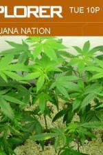 Watch Marijuana Nation Tvmuse