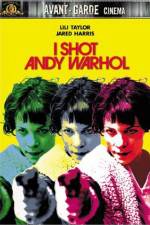 Watch I Shot Andy Warhol Tvmuse