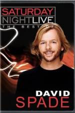 Watch Saturday Night Live The Best of David Spade Tvmuse