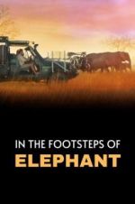 Watch In the Footsteps of Elephant Tvmuse
