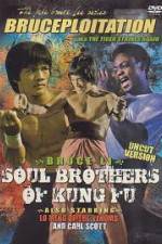 Watch Soul Brothers of Kung Fu Tvmuse