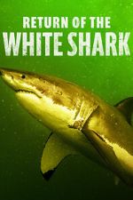Watch Return of the White Shark Tvmuse