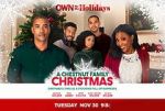 Watch A Chestnut Family Christmas Tvmuse