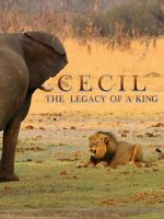 Watch Cecil: The Legacy of a King Tvmuse