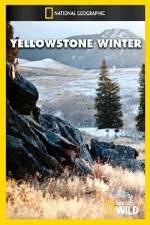 Watch National Geographic Yellowstone Winter Tvmuse