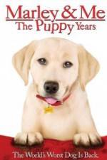 Watch Marley and Me The Puppy Years Tvmuse