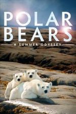 Watch Polar Bears: A Summer Odyssey Tvmuse