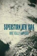 Watch Superstorm New York: What Really Happened Tvmuse