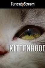 Watch Kittenhood Tvmuse