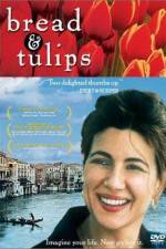 Watch Bread & Tulips Tvmuse
