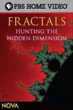 Watch NOVA - Fractals Hunting the Hidden Dimension Tvmuse