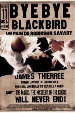 Watch Bye Bye Blackbird Tvmuse