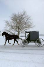 Watch Leaving Amish Paradise Tvmuse