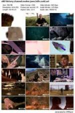 Watch History Channel Evolve: Jaws Tvmuse
