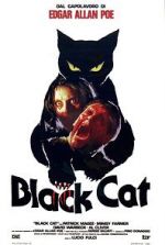 Watch The Black Cat Tvmuse