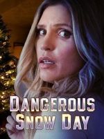 Watch Dangerous Snow Day Tvmuse