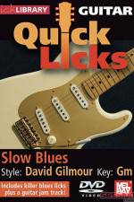 Watch Lick Library Quick Licks David Gilmour Tvmuse