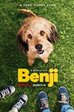 Watch Benji Tvmuse
