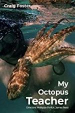 Watch My Octopus Teacher Tvmuse