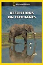 Watch Reflections on Elephants Tvmuse