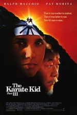 Watch The Karate Kid Part III Tvmuse