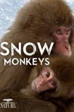 Watch Nature: Snow Monkeys Tvmuse