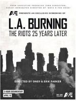 Watch L.A. Burning: The Riots 25 Years Later Tvmuse