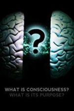 Watch What Is Consciousness? What Is Its Purpose? Tvmuse