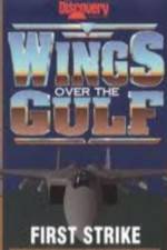 Watch Wings Over the Gulf Vol  1  First Strike Tvmuse