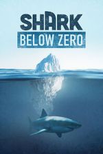 Watch Shark Below Zero Tvmuse