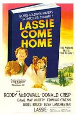 Watch Lassie Come Home Tvmuse