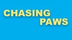 Watch Chasing Paws (Short 2020) Tvmuse