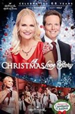 Watch A Christmas Love Story Tvmuse