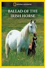 Watch Ballad of the Irish Horse Tvmuse