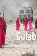 Watch Gulabi Gang Tvmuse